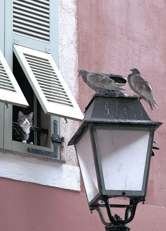 世界武术锦标赛闭幕，中国队豪取12金稳居榜首，世界武术锦标赛比赛项目