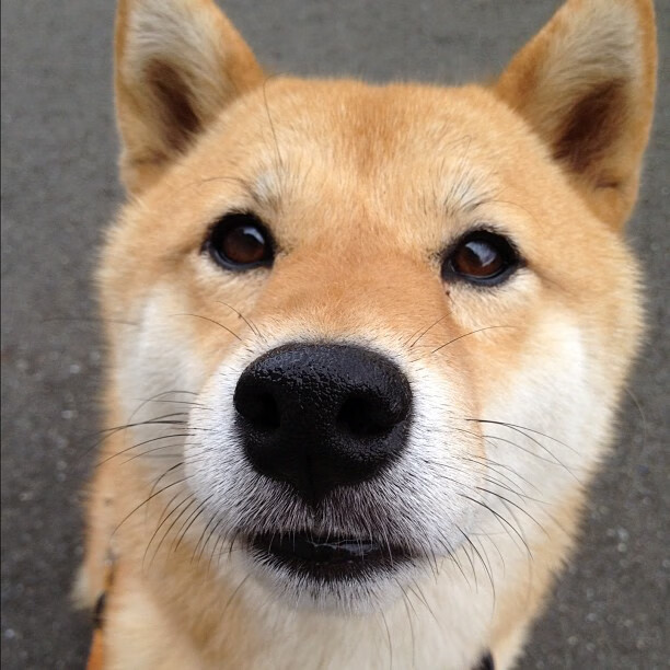 合作签约档：联盟与大牌品牌的最新合作项目，合作签约流程怎么写