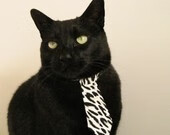 赛季“最强的组合”评选,谁才是“黄金拍档”?,这个赛季比较强的英雄