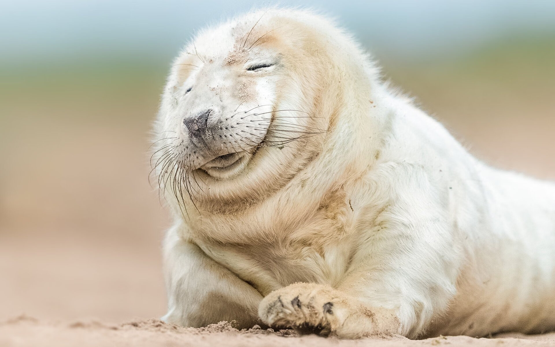 曝光：瓦伦西亚险胜晋级，欧冠半决赛！，瓦伦西亚夺冠