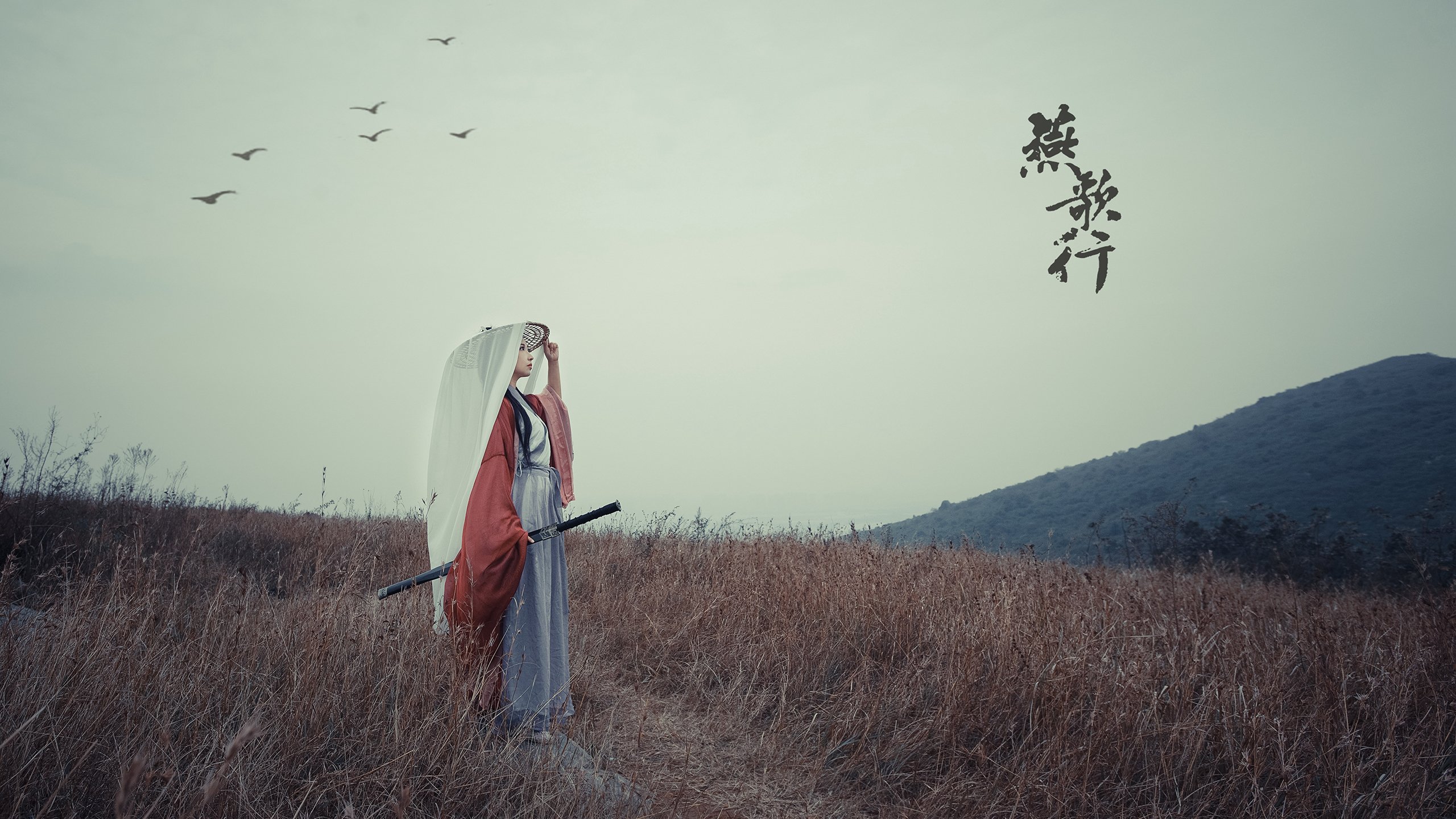 中国篮球职业联赛赛事直播互动技术开发及应用效果,篮球职业联赛视频