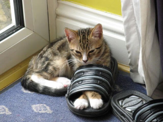 世界杯激情激荡:每一秒都令人心跳加速,世界杯激情歌曲