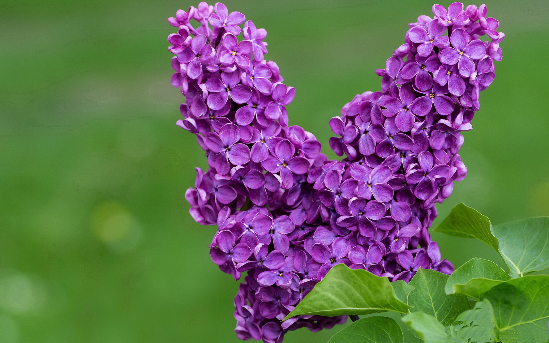 篮网调整训练计划提升球员体能状态,篮网训练日